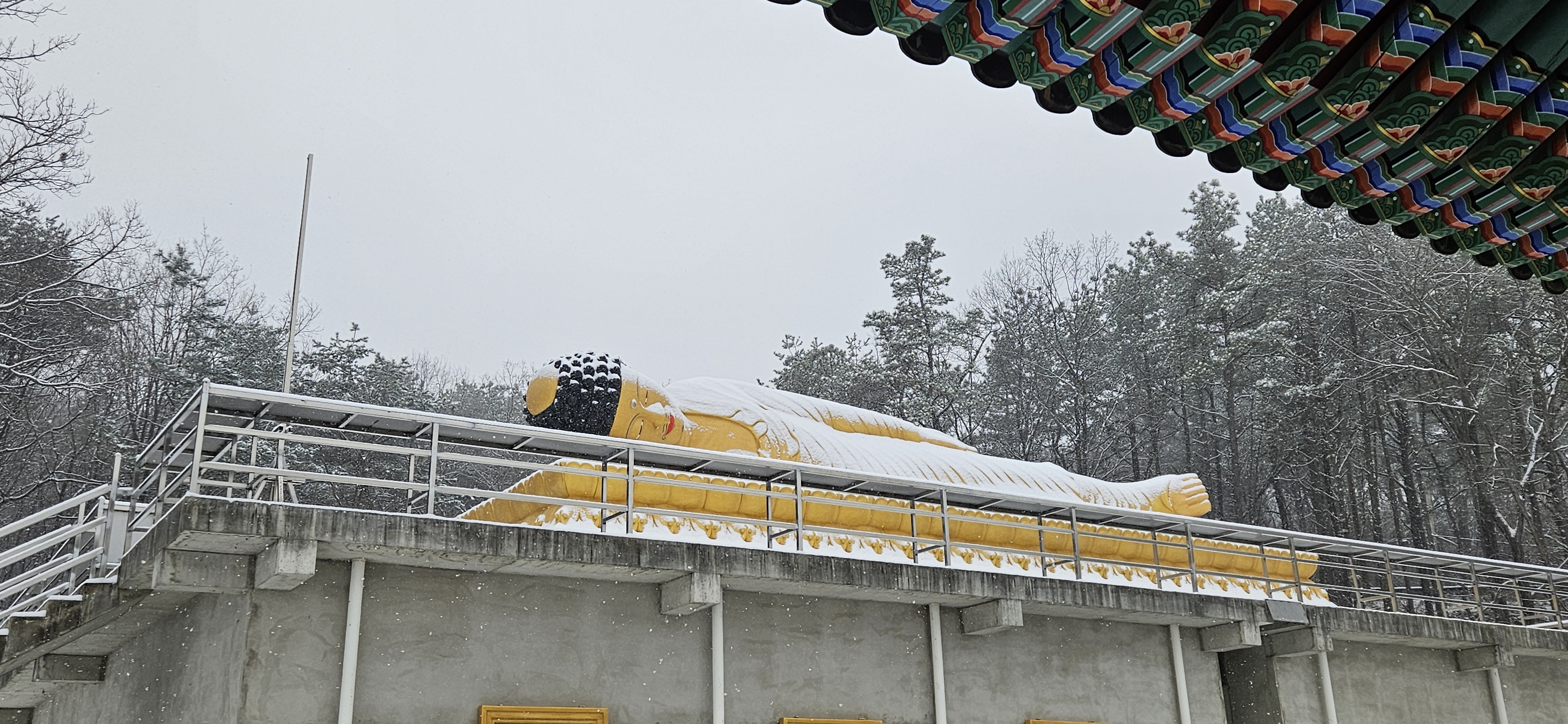 신고달사 전경 3